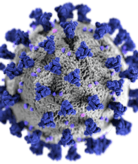 covid-19-virus-illustration-small.png